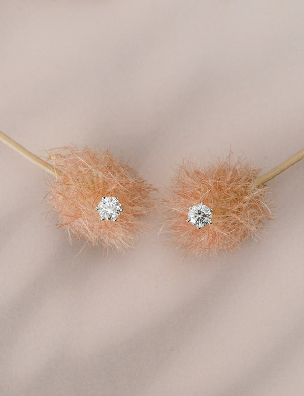 Zircon Crown Studs